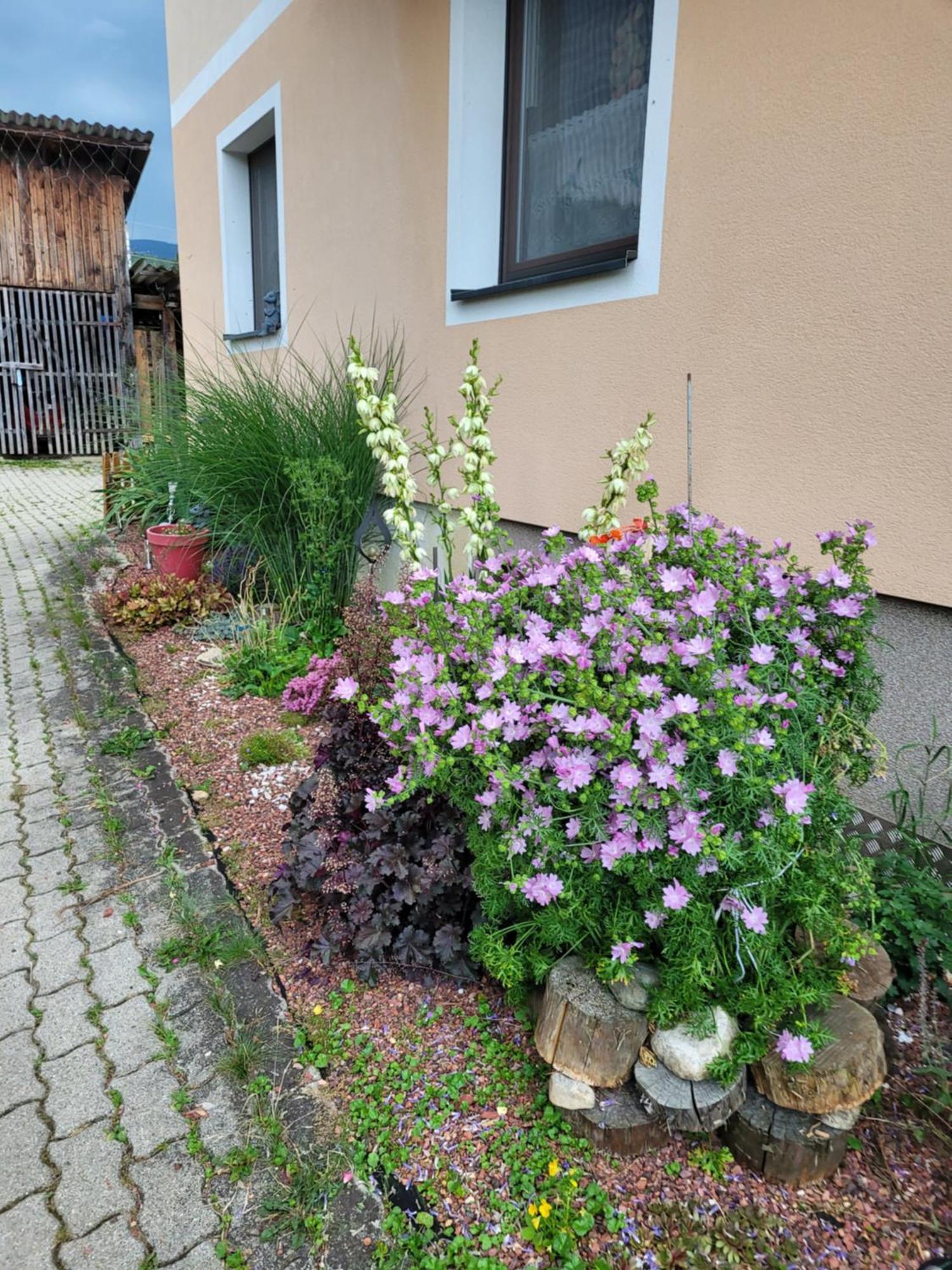 Ferienwohnung Haus Petra Neumarkt in Steiermark Exterior foto